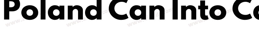 Poland Can Into Car字体转换